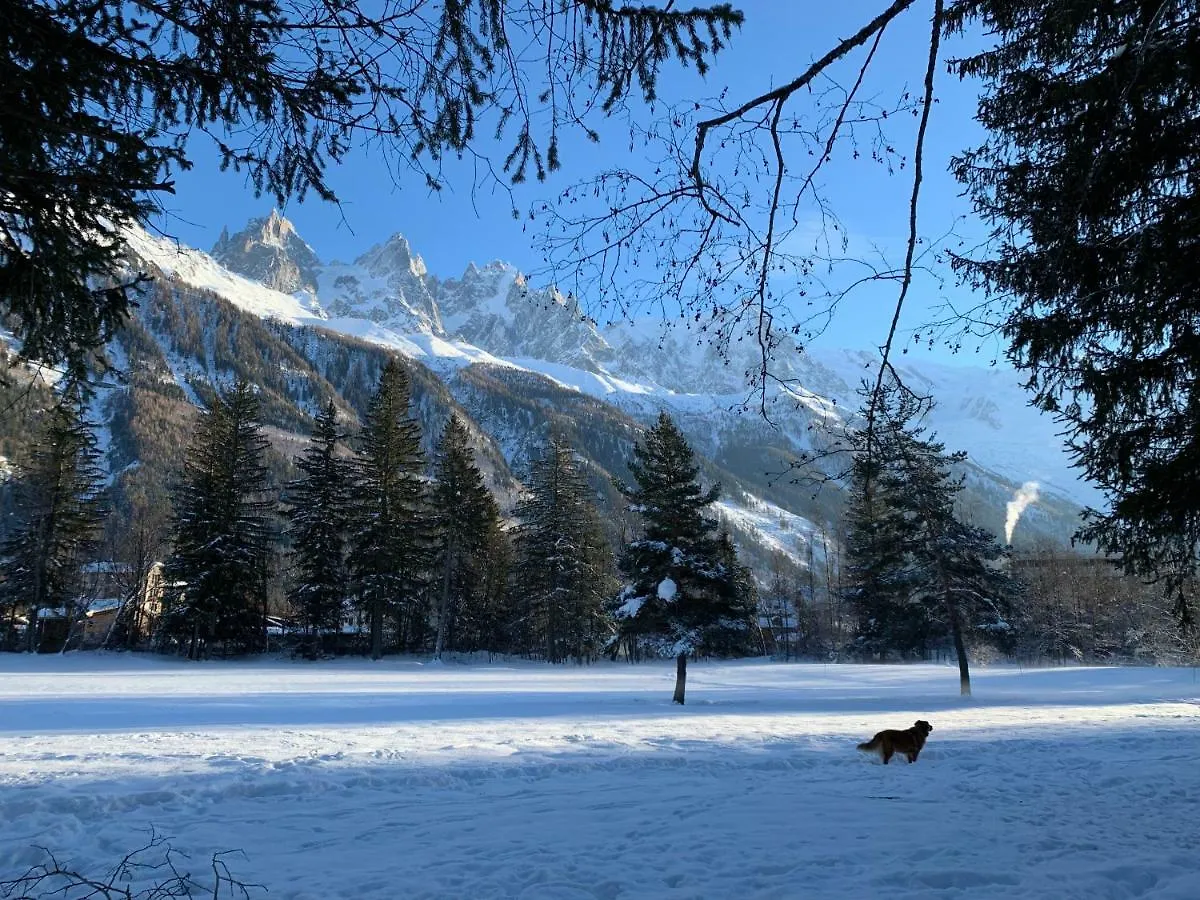 Apartment Maya, La Praz, Chamonix Mont Blanc