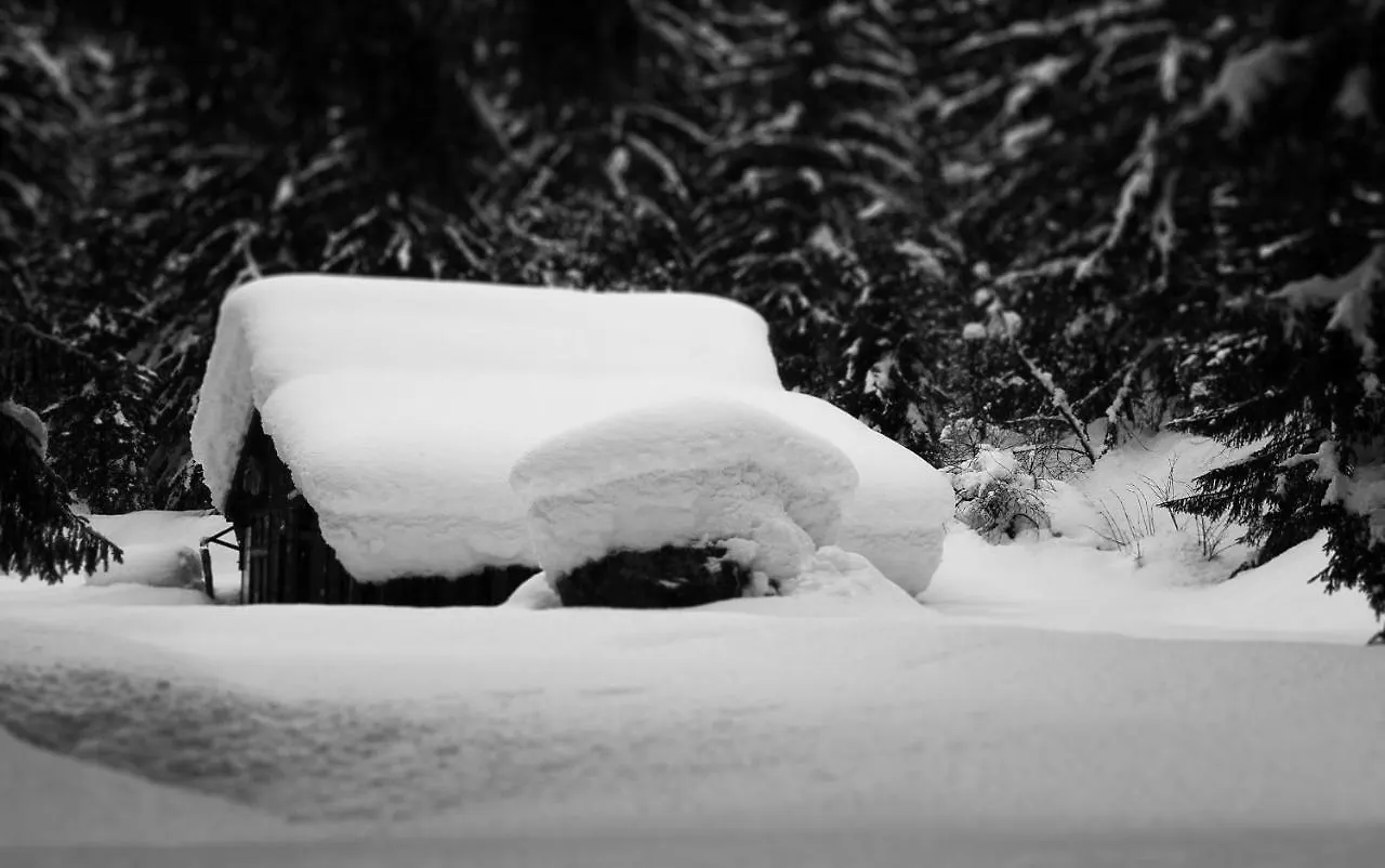 Apartment Maya, La Praz, Chamonix Mont Blanc